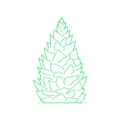 Plants Spruces Oriental Spruce Simple Line Art Svg, Free Vectors File